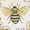 Daisy Bee - 20" x 20", variant on STUDIOCHIC Home Summer Brights Indoor/Outdoor Decorative Pillow