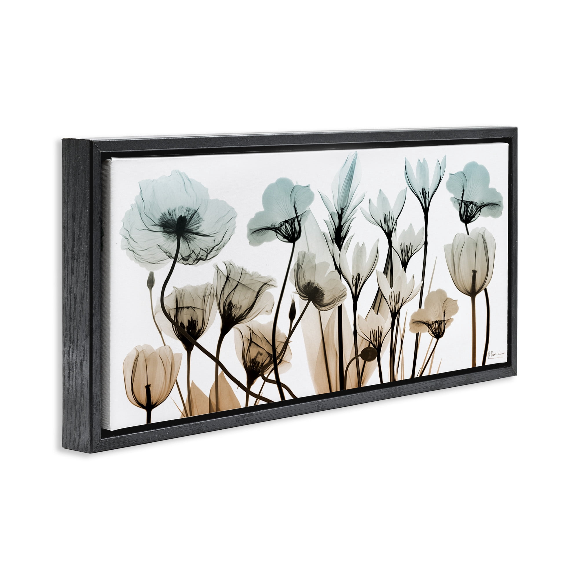 Stupell Industries Mixed Transparent Flowers Botanical & Floral Photography Black Floater Framed Canvas Art Print Wall Art, 25 x 11