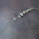 thumbnail image 1 of 18 Piezas de Tallos de Eucalipto Tallos de Hojas de Eucalipto Artificiales Ramas de Hojas de Toque Verde Gris Verdadero, 1 of 5