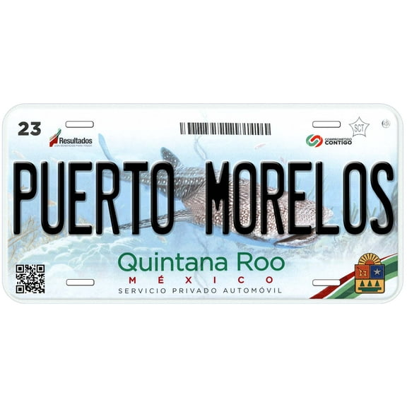 Puerto Morelos Quintana Roo Mexico Novelty Car License Plate
