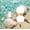 Sea Shells And Star Fish In Ocean Beach, variant on Outlet Covers Palm Trees Tropical Green Plant Palm Leaf 1 Toggle 1 Rocker Combination Decorative Wall Plate Electrical Switch Plates Light Switch Cover Plate For Bed Room Bathroom Decor