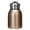 Gold, variant on erfcxs Mini Water Bottle Small Water Bottle 300ML Stainless Steel Small Flask Vacuum Insulated Thermal Cup Leak Proof Portable Mini With Hook Green