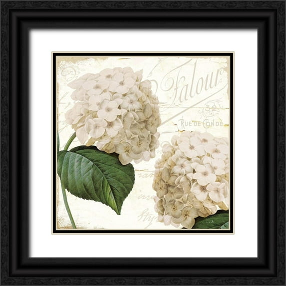 Sophie 6 20x20 Black Ornate Wood Framed with Double Matting Museum Art Print Titled - Hydrangea Cream II