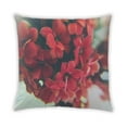 thumbnail image 2 of Ahgly Company Plants Flower Indoor Throw Pillow, 18 inch by 18 inch, 2 of 6