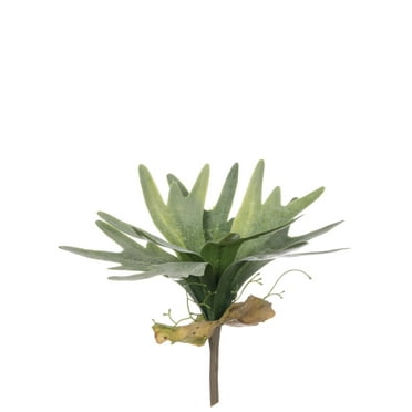 Sullivans Artificial Staghorn Fern Spray 8.5"H Green