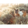 thumbnail image 3 of Frank, Assaf 14x12 Black Modern Framed Museum Art Print Titled - Horse in forest, 3 of 5