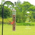 thumbnail image 2 of Urban Deco Metal Bird Feeder Tube Hanging, Steel Hanger Great for Attracting Birds (Antique Copper), 2 of 9