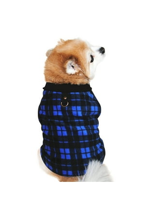 gucci dog clothes