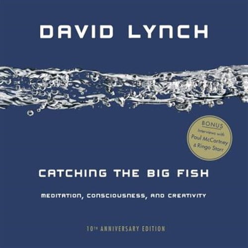 Pre-Owned Catching the Big Fish: Meditation, Consciousness, and Creativity Paperback