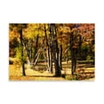 thumbnail image 2 of Gango Home Decor In the Meadow I by Alan Hausenflock (Printed on Paper); One 36x24in Fine Art Paper Giclee Print, 2 of 4