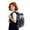 Black, variant on Clear Backpack For School Transparent Front Panel Backpack Lightweight Easy Visibility Front Load Daypack For Daily School Use