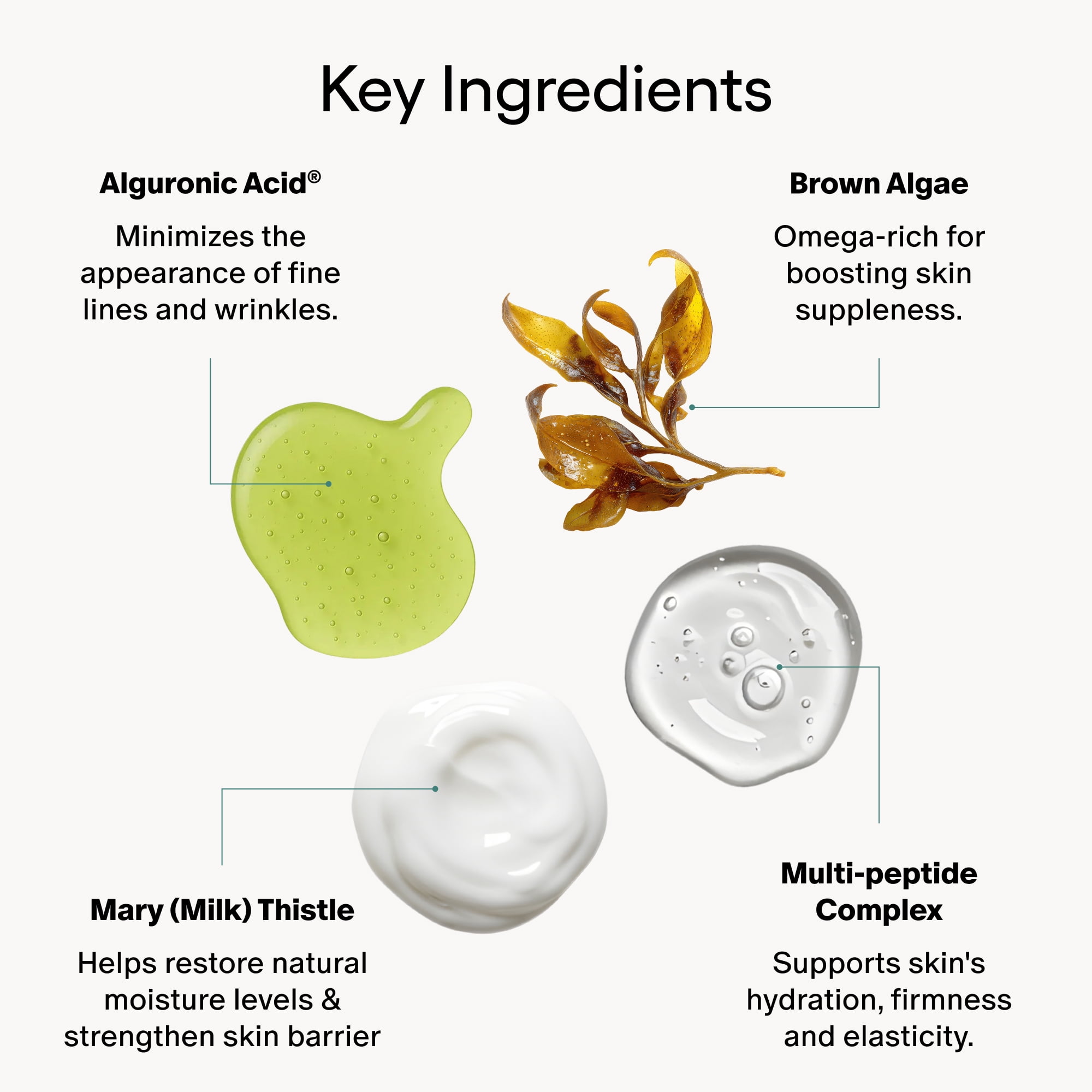 Algenist Algae Peptide Regenerative Face Moisturizer - Restorative Wrinkle Cream + Peptide Moisturizer for Instant Hydration + Skin Barrier Protection - Formulated with Patented Alguronic Acid (2 oz)