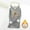 03 Gray, variant on YueHuiYing Fashion Women's Winter Printed Large Loose Hoodie Top Thickened Warm Close Fitting Shirt Long Sleeve Hoodie