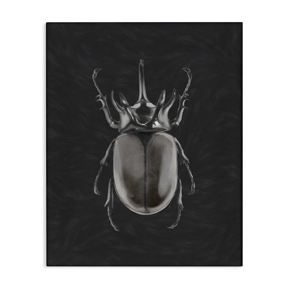 Stupell Industries Modern Horned Beetle Minimal Black Canvas Art, 16 x 20, by Ziwei Li