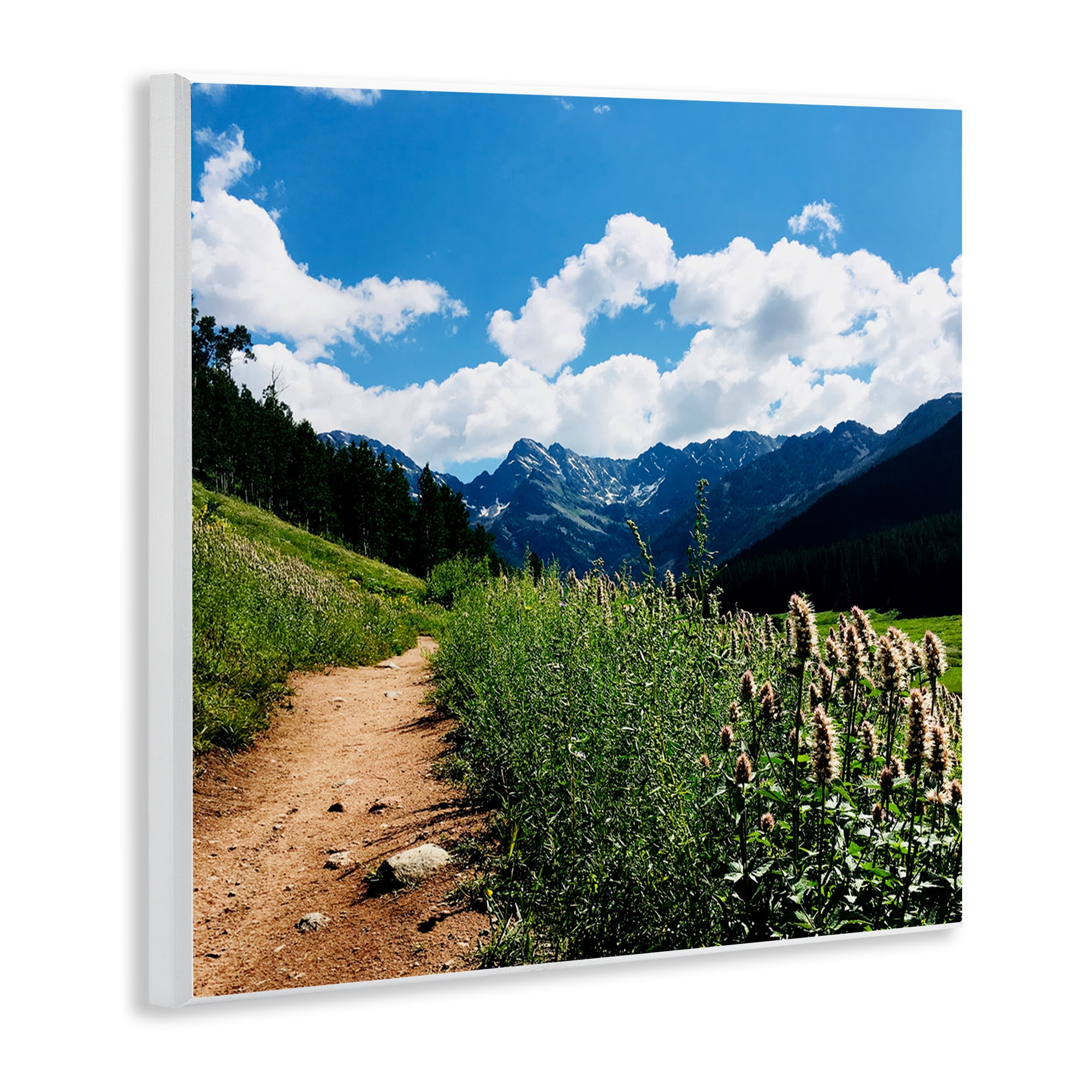 Stupell Industries Lovely Path with Clouds Landscape & Nature Photography Unframed Art Print Wall Art, 12 x 12