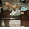 thumbnail image 6 of Maitland-Smith Lion Soap Dish, 20" Cast Brass with Hammered Blue Shell Accents, Decorative Bathroom Accessory, 6 of 6