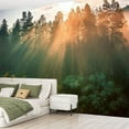 thumbnail image 2 of Peel and Stick Wallpaper sun breaking Modern Art Wall Mural Decor Self Adhesive and Removable 69in x 98in, 2 of 8