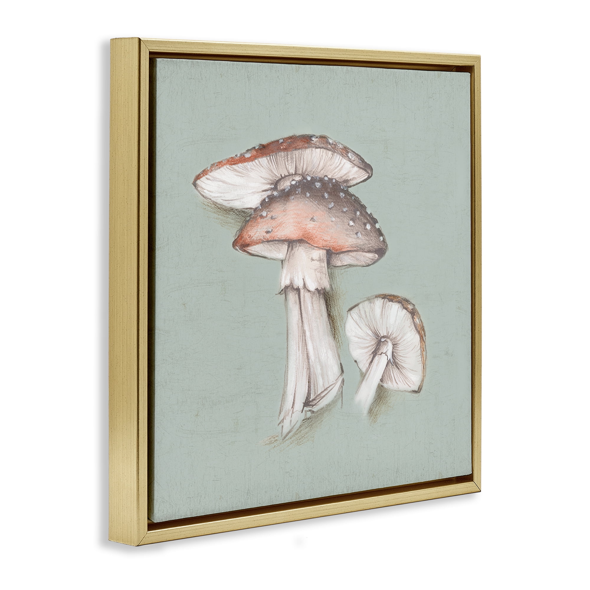 Stupell Industries Mushroom Bunch Drawing Plants & Flowers Painting Gold Floater Framed Canvas Art Print Wall Art, 18 x 18