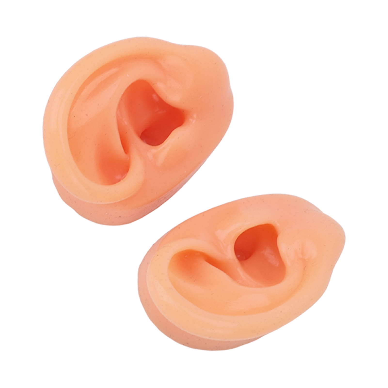 Ear Model, Long Lasting  Ear Display Model Silicone Waterproof  For Otolaryngology Pharmacy
