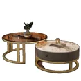 thumbnail image 3 of Juego de mesa de centro de Metal de almacenamiento, mesas de centro modernas de lujo para sala de estar, decoración redonda minimalista para ahorrar espacio, 3 of 4