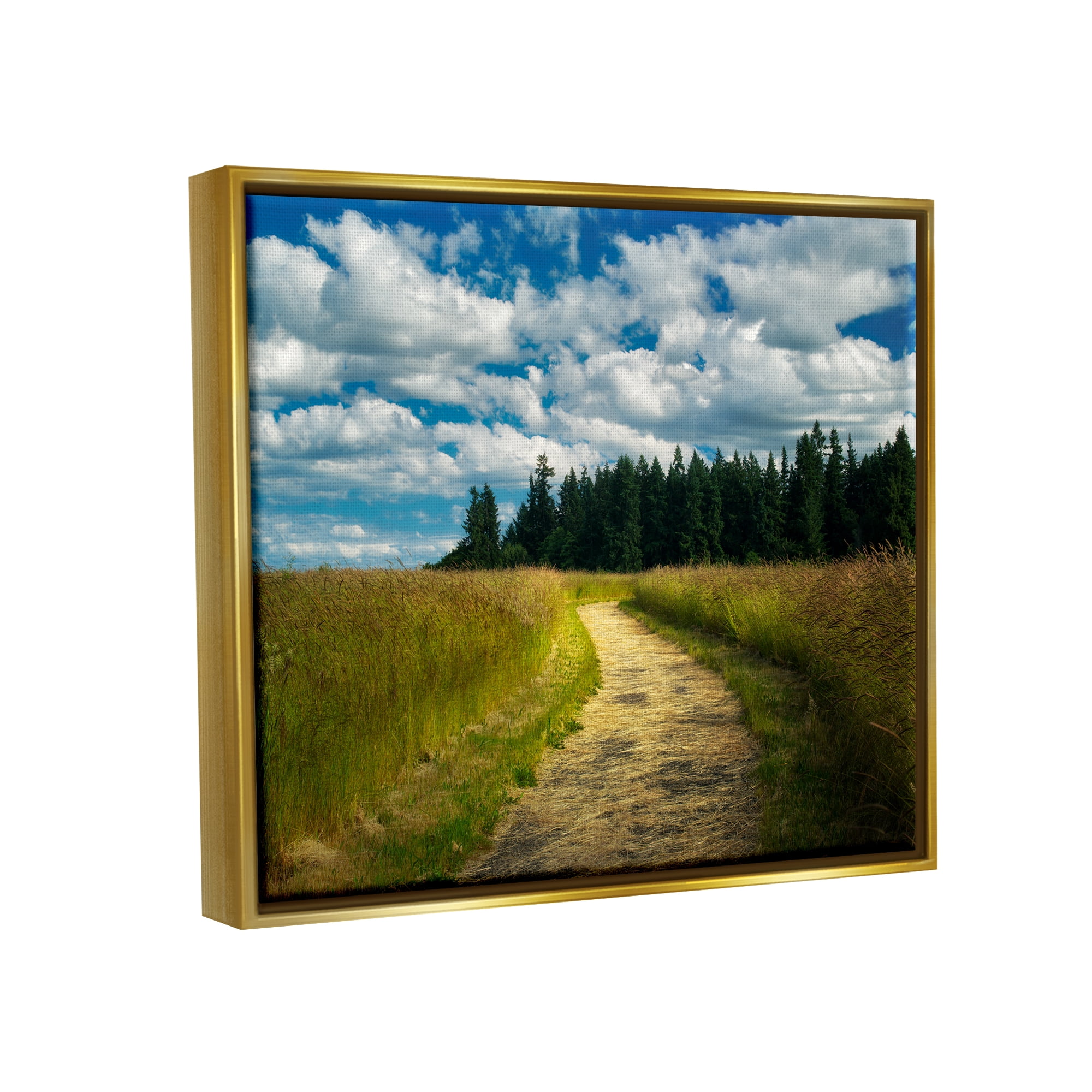 Stupell Industries Cloudy Rural Path Grassland Landscape Photography Gold Floater Framed Art Print Wall Art