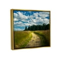 thumbnail image 3 of Stupell Industries Cloudy Rural Path Grassland Landscape Photography Gold Floater Framed Art Print Wall Art, 3 of 6