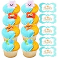 thumbnail image 3 of 24ct Sea Buddies 1 1/4"" - 1 3/4"" Edible Sugar Decoration Toppers for Cakes Cupcakes Cake Popswith Decorating Stickers, 3 of 5