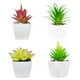 thumbnail image 2 of Advancent Simulación de suculentas, Mini maceta para bonsái, flores falsas en maceta, para el hogar, jardín, oficina, fiesta, dormitorio, Decoración tipo 2 Advancent HA084638-02, 2 of 6
