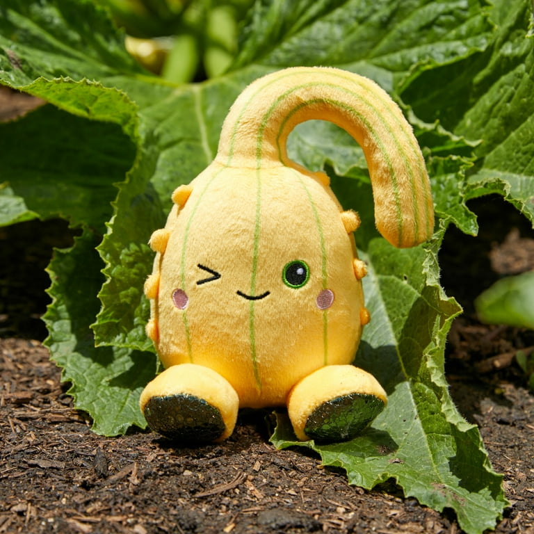 Squash plush new arrivals