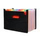 thumbnail image 2 of Zhuge Organizador de archivos en acordeón de 2 piezas, carpeta de archivos expandible con 25 bolsillos, soporte para documentos tamaño carta A4, bolsa de malla negra arcoíris, 2 of 4