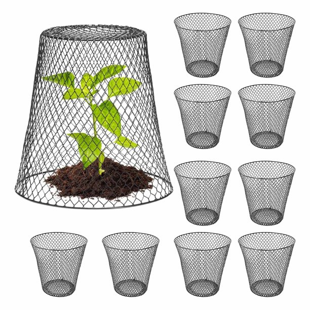Xihbxyly Campana de Jardín, Jaula Protectora de Metal Resistente, Previene Daños Causados Por Animales, Mejora La Exposición a La Luz Solar, Uso En Interiores y Exteriores, Elegante Decoración de Jar