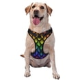 thumbnail image 1 of Fotbe Dragon Scales Arnés para Perro con Estampado –Chaleco Ajustable Acolchado con Asa de Control para Perros Grandes-Large, 1 of 6