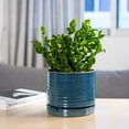 thumbnail image 4 of Better Homes & Gardens 8" Ceramic Round Planter Pot-Teal, 4 of 7