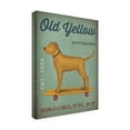 thumbnail image 4 of Trademark Fine Art 'Golden Dog on Skateboard' Canvas Art by Ryan Fowler, 4 of 4