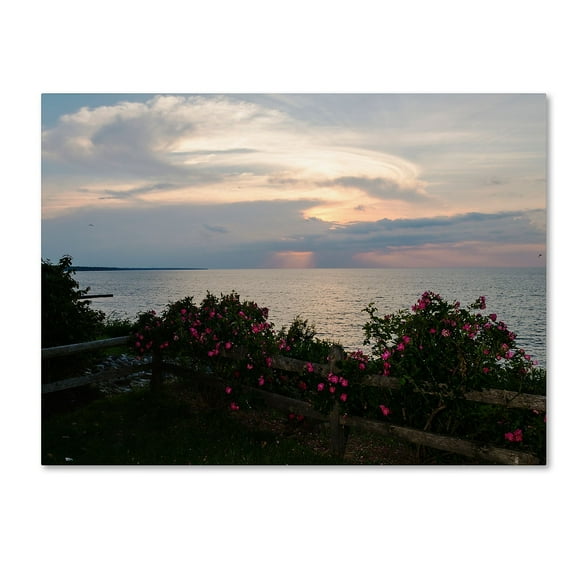 Trademark Fine Art "Roses in Bloom Along the Lake" Canvas Art by Kurt Shaffer
