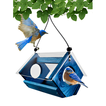 Backyard Essentials Bluebird Feeder Bird Seed and Mealworms Bird Feeder Blue
