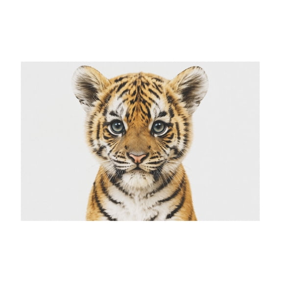 Safari Animal Canvas Wall Art Cute Jungle Decor For Bedroom 12*18in