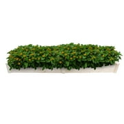 Square Vegetable Raised Garden Bed Grow Flowers Elevated Planter Parterre
