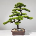 thumbnail image 3 of Árbol de bonsái artificial de estilo chino con madera realista y plantas falsas de maceta de cerámica for oficina en casa, 3 of 5