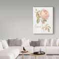 thumbnail image 3 of Trademark Fine Art 'Garden Rose on Wood Love' Canvas Art by Danhui Nai, 3 of 3