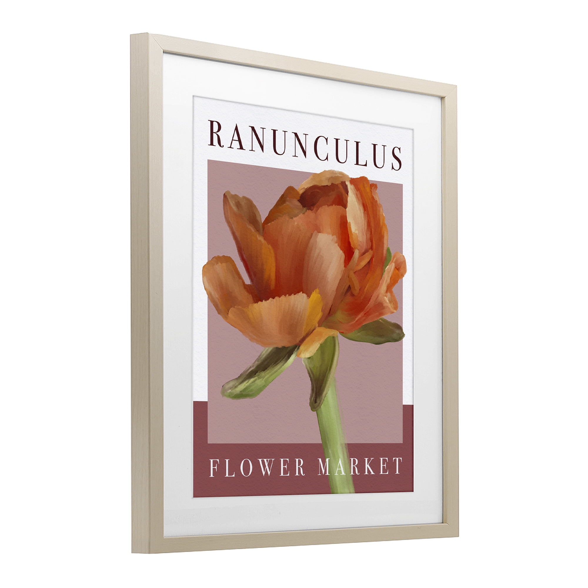 Stupell Industries Ranunculus Flower Market Birch Framed Print Under Glass, design by Jennifer Stith