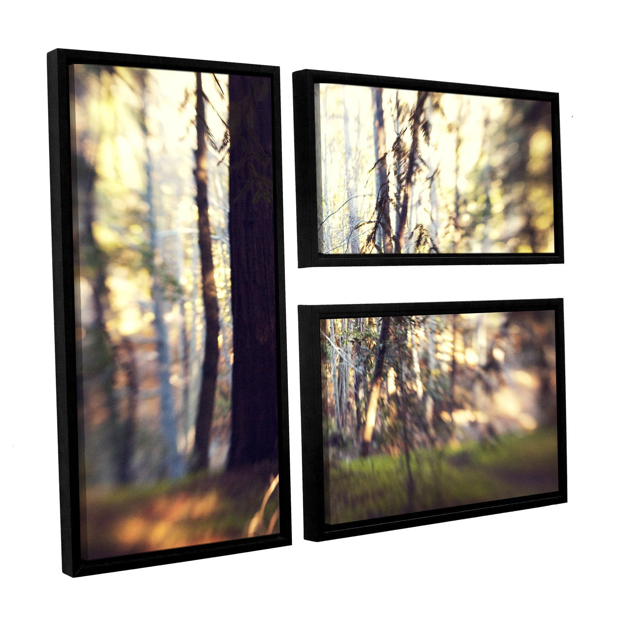ArtWall Elena Ray "Treasures From The Sea" 3-Piece Floater-framed Canvas Flag Set