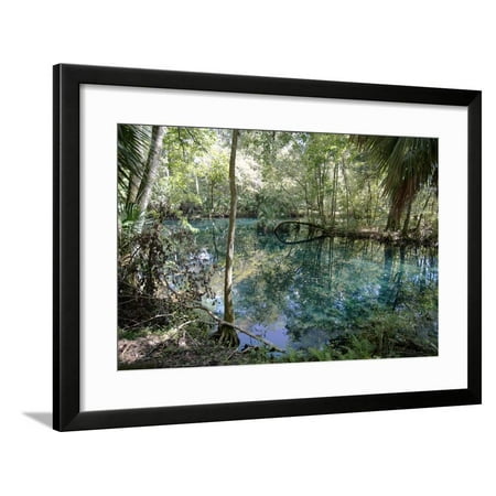 Natural Springs at Silver Springs State Park, Johnny Weismuller Tarzan films location, Florida, USA Framed Print Wall Art By Ethel