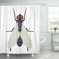 thumbnail image 1 of Cortina de ducha ABPHQTO de insecto de biología grande 165x180 cm, 1 of 2