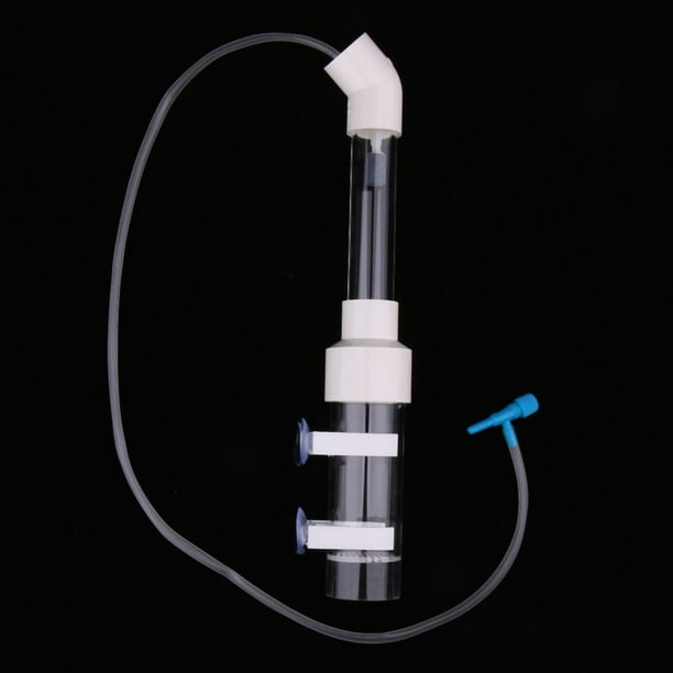 Cichlid egg sale tumbler