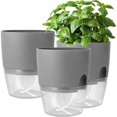 thumbnail image 1 of Spice Pot Kitchen Set Window Sill Self-Watering Set of 3 Spice Garden for the Kitchen, 18.2x 11x 15.3 Cm, for Fresh Herbs, Gray, 1 of 5