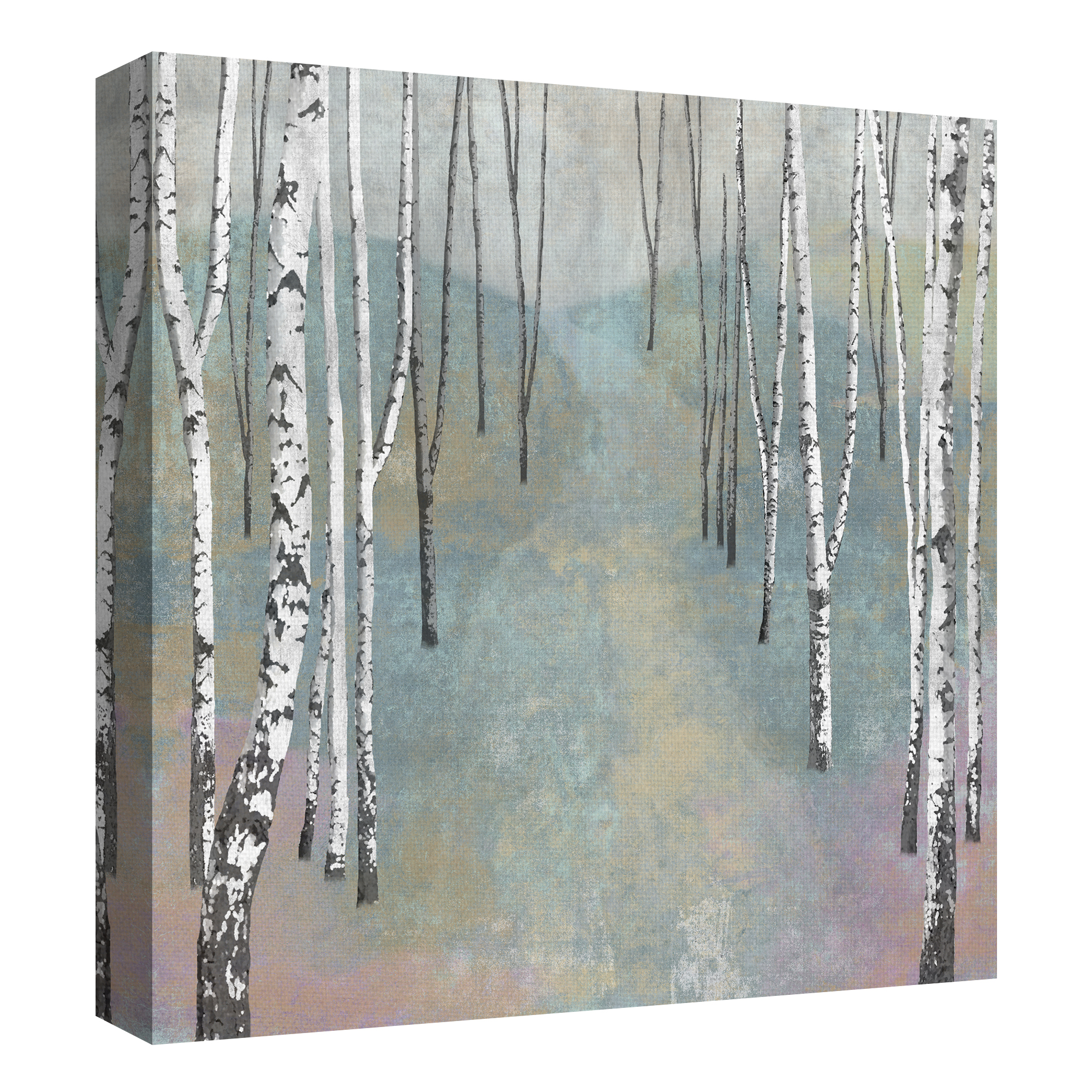Silver Trees Path I by Tania Bello Birch Trees Canvas Art