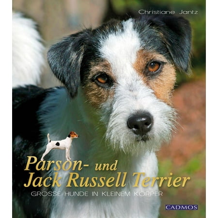 Parson Jack Russell Terrier - Parson- und Jack Russell Terrier - eBook