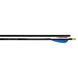 Easton Genesis V2 Arrows with 3 Vanes 6 Pack 1820 Purple - Walmart.com