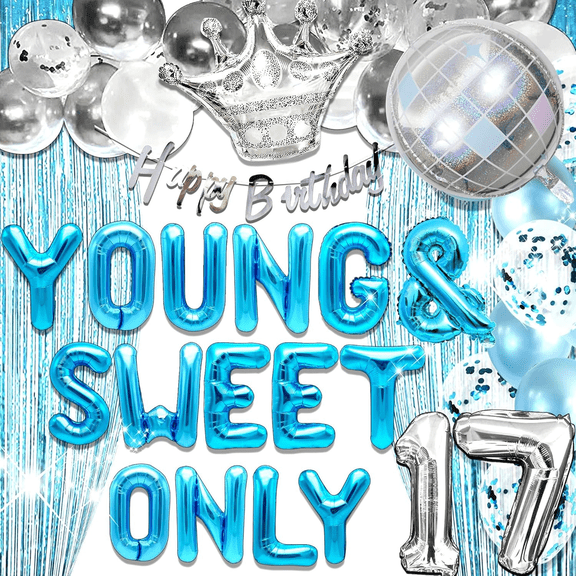 17th Birthday Party Decorations Silver Blue Young & Sweet Theme All-in-One Set for Teen Celebration